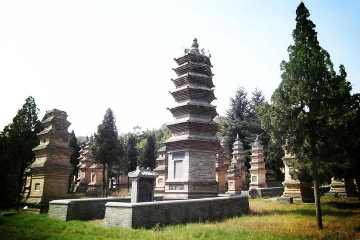 a group of pagodas in a field