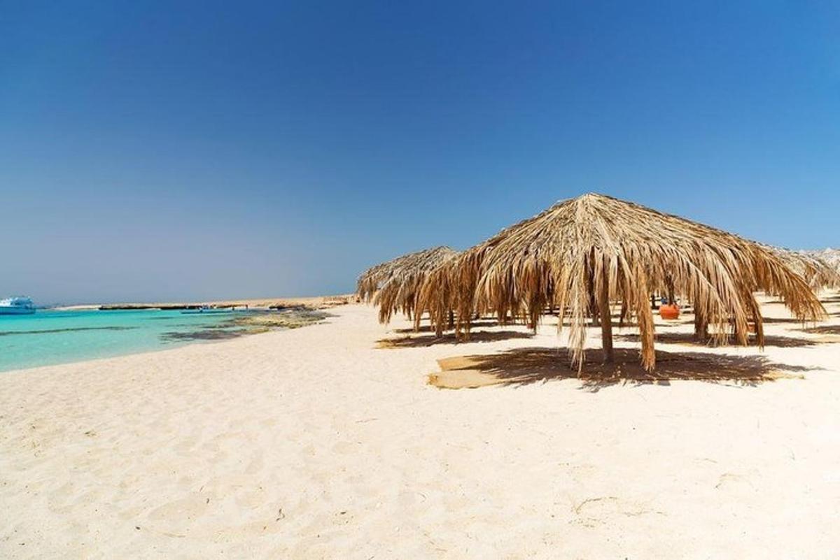 a group of straw umbrellas on a beach