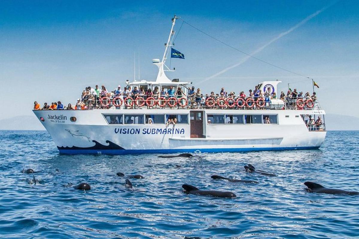 a group of people on a boat in the ocean with seals