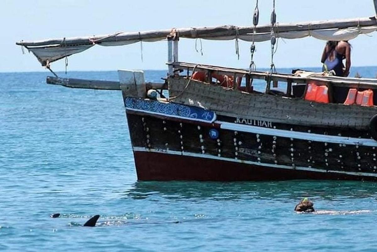een hond die in het water naast een boot zwemt