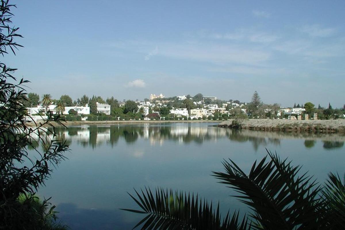 a large body of water with a town in the background