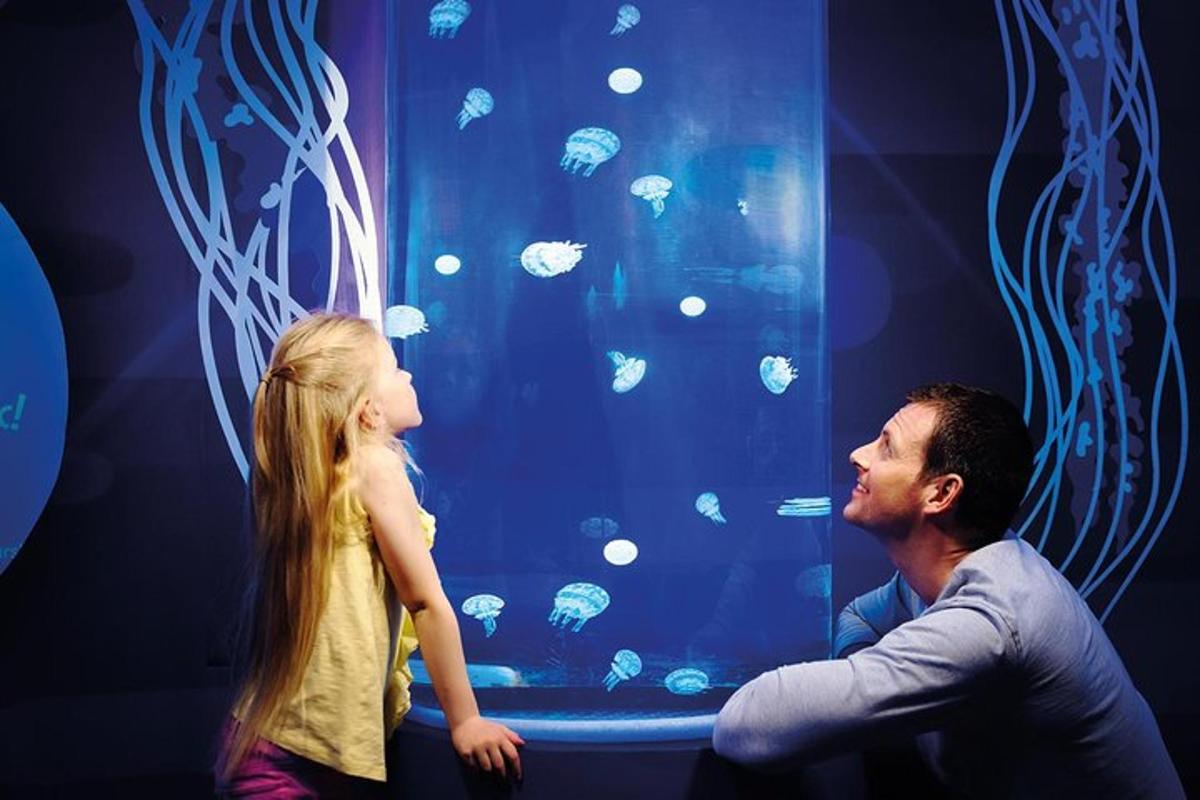 a man and a little girl looking at an aquarium