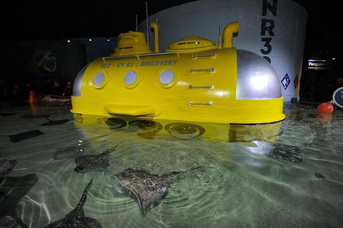 a yellow train in the water in a exhibit