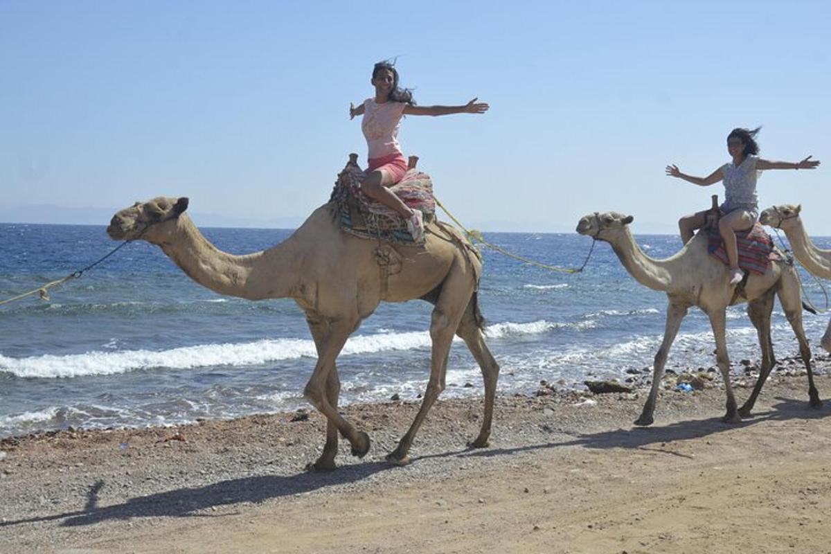 dos personas montando camellos en la playa