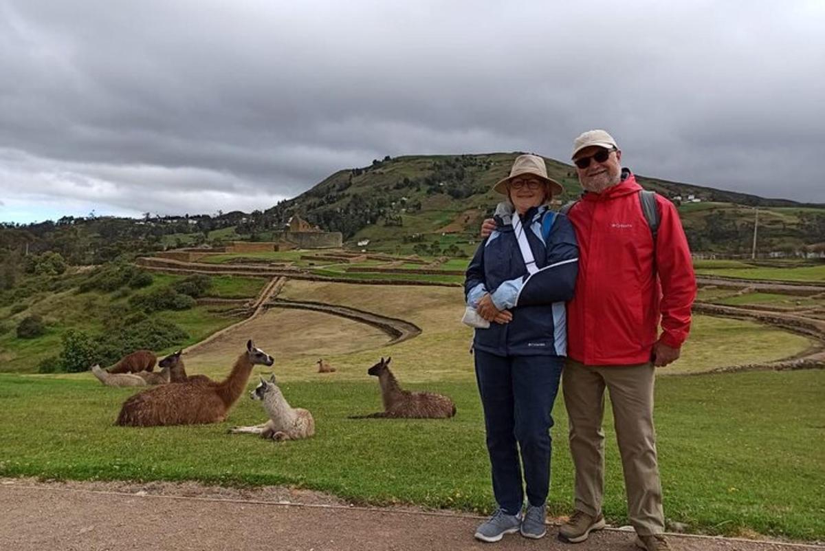 a man and woman standing in front of a field of llamas