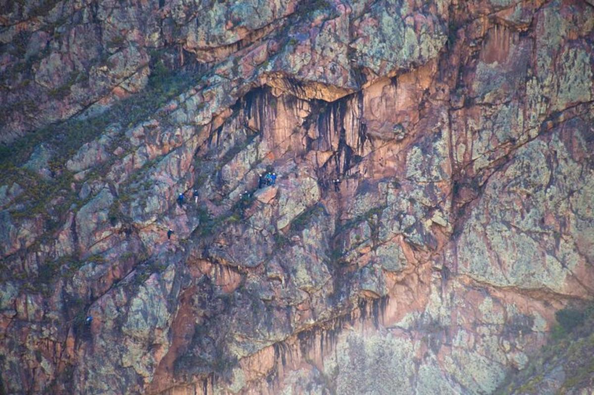 un primo piano di una parete rocciosa con un mucchio di essa