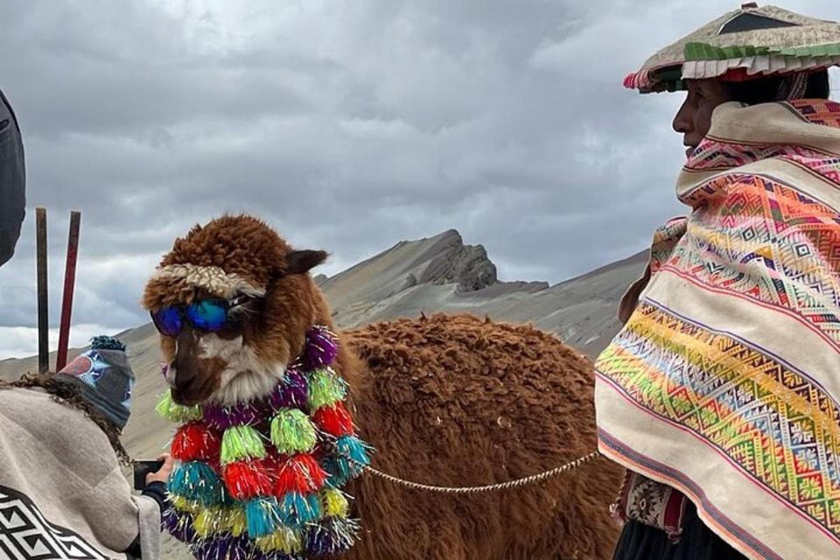 una persona in piedi accanto a un cammello nel deserto