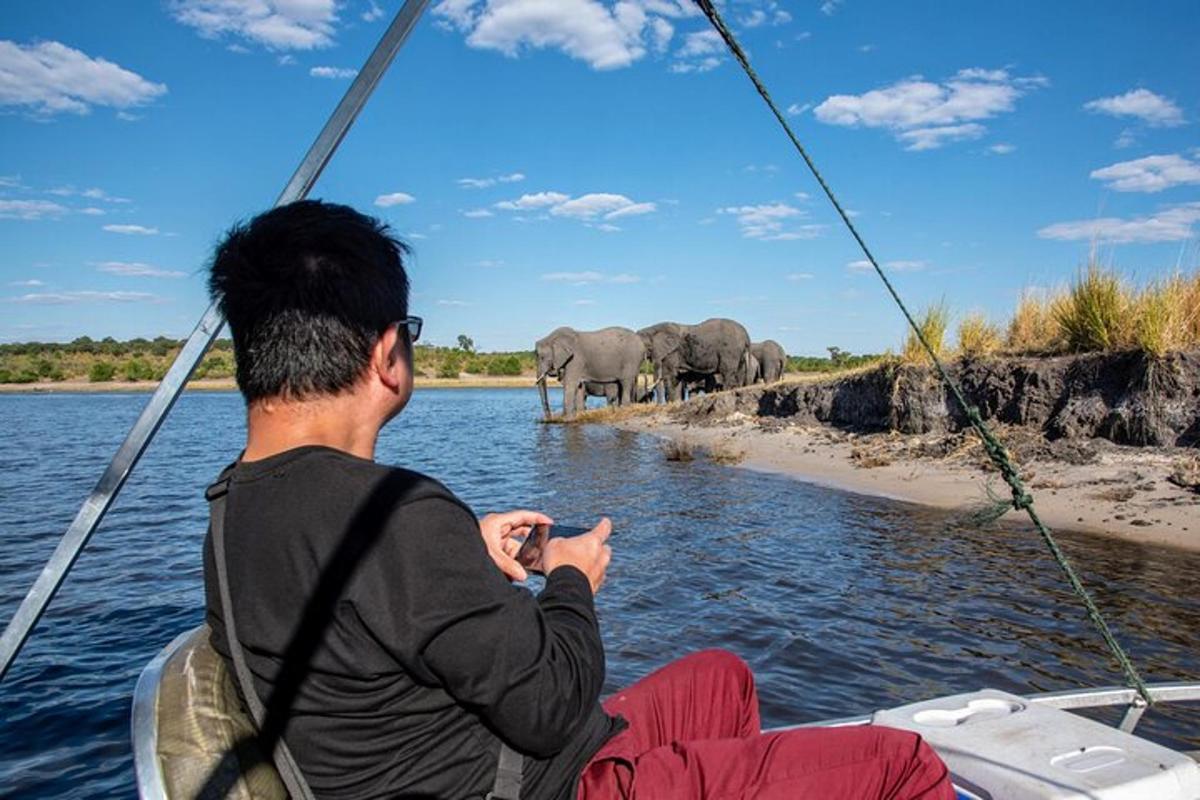 a man on a boat looking at elephants in the water