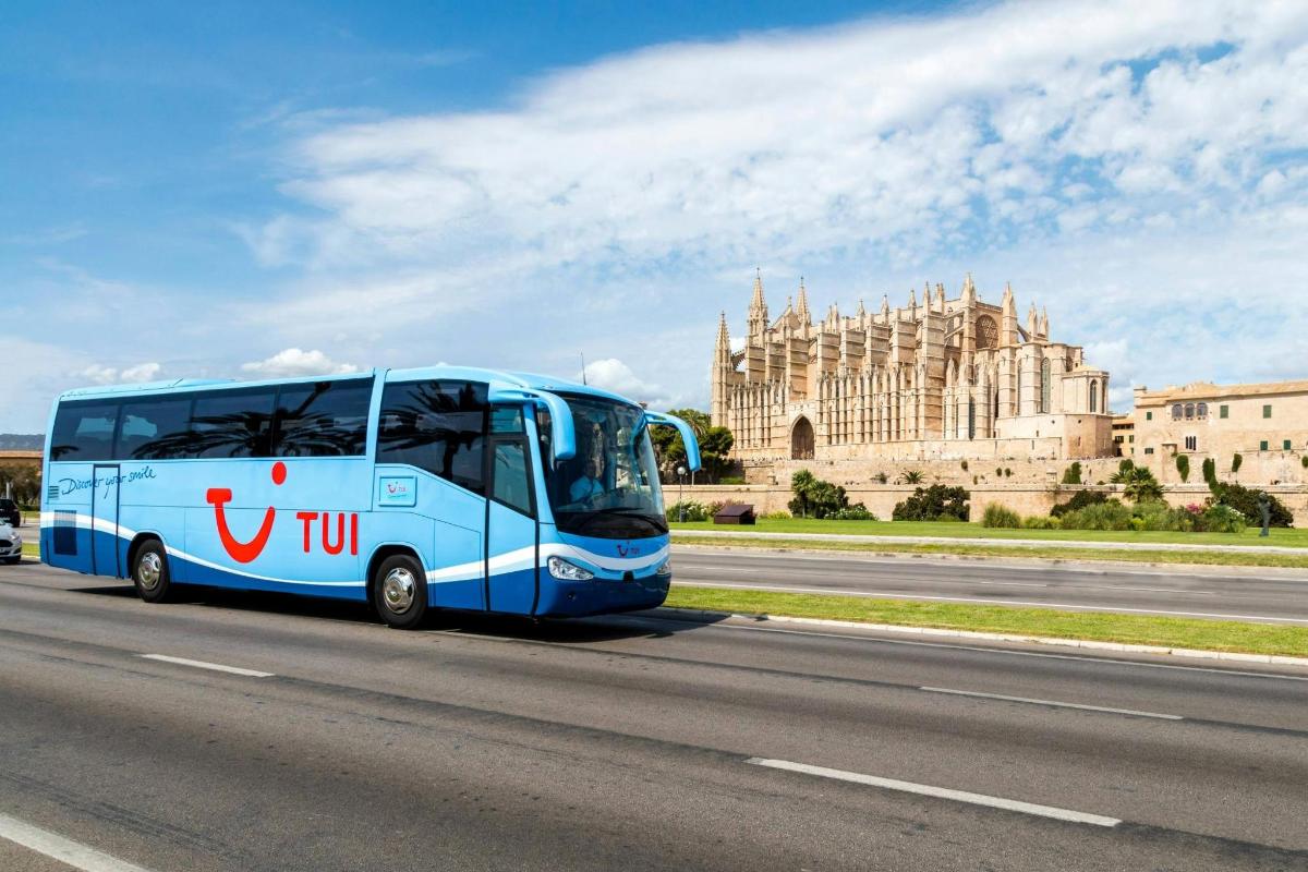 un autobus blu che percorre una strada di fronte a un edificio