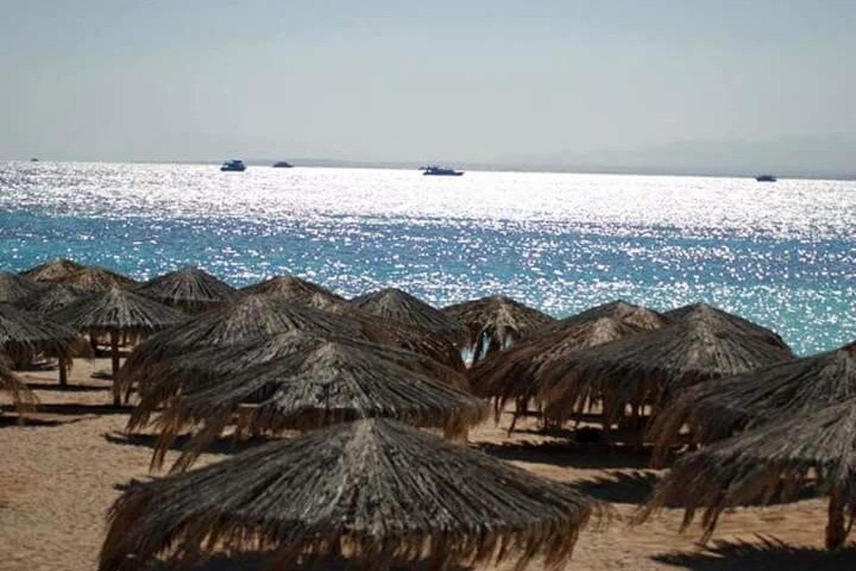 skupina slamnatih senčnikov na plaži z oceanom