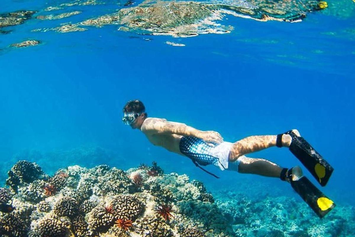 a man is swimming over a coral reef