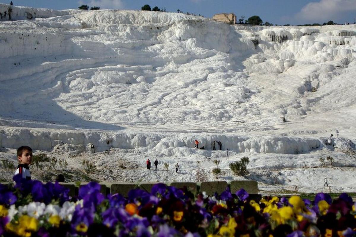 un munt de neu amb flors en primer pla