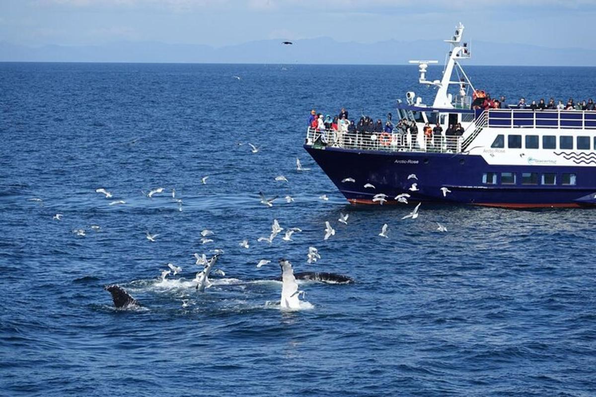 a group of people on a boat in the ocean with birds