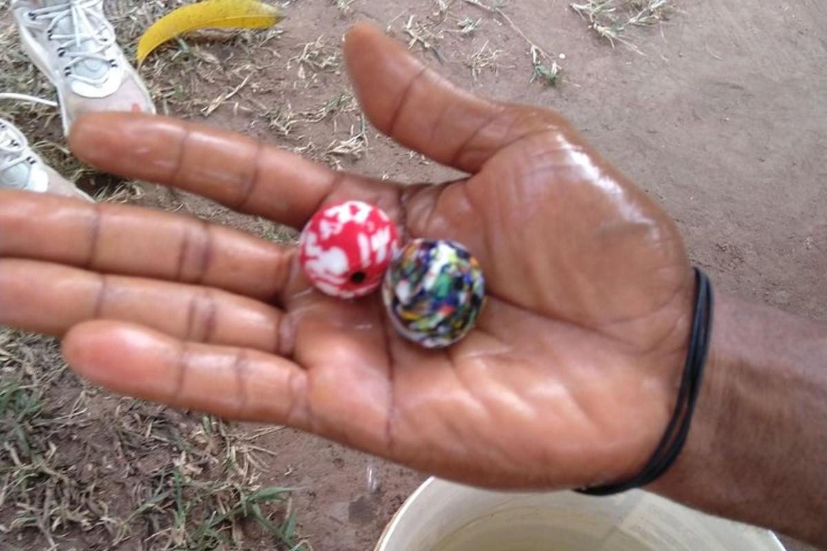 una mano che tiene due piccoli insetti in un campo