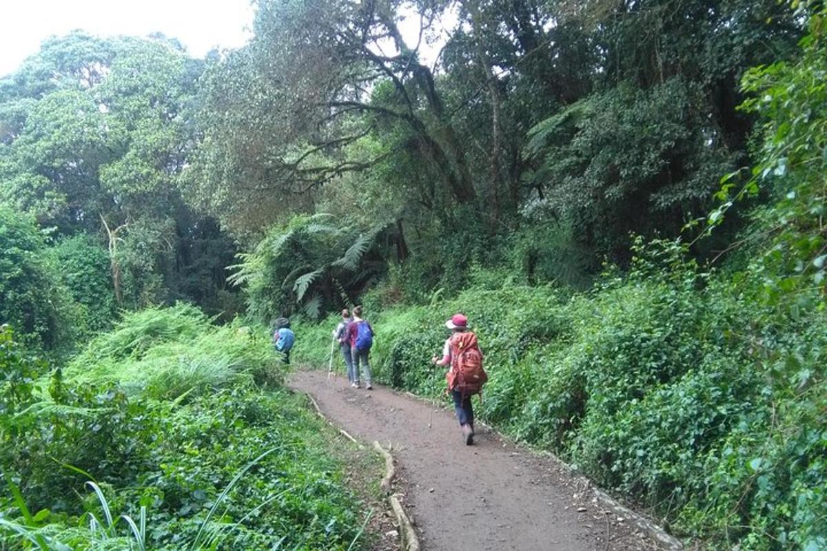 um grupo de pessoas caminhando por uma trilha de terra