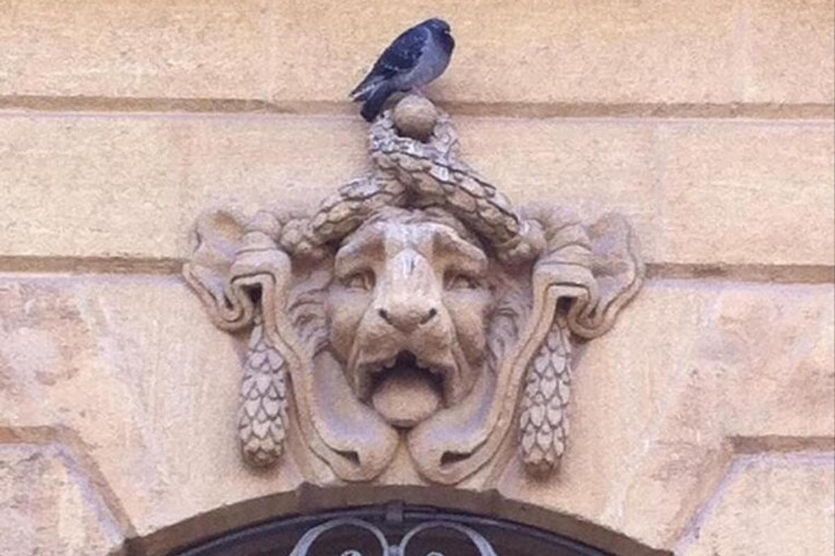ein Vogel, der auf einem Wasserspeier auf einem Gebäude sitzt