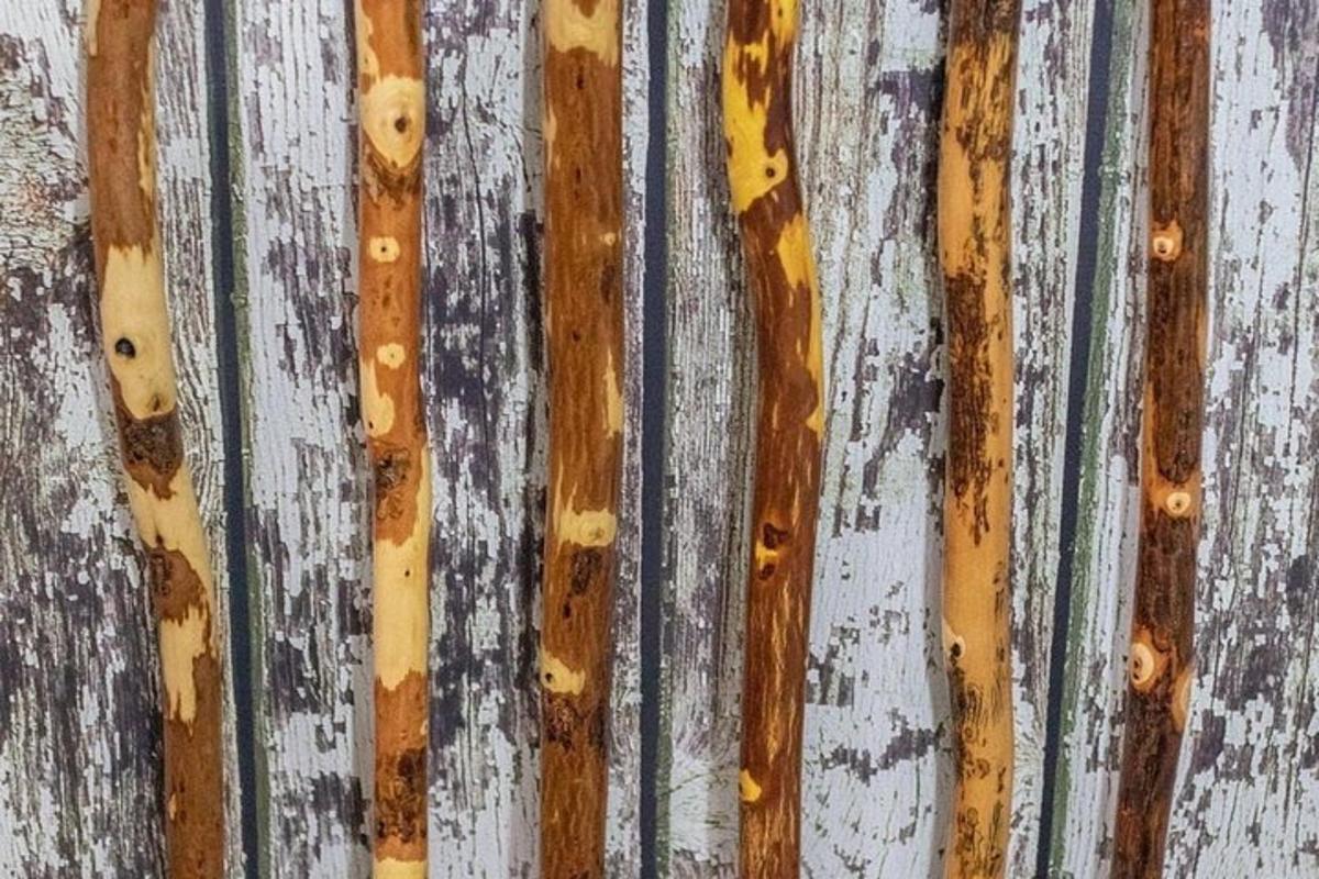 detail dřevěné zdi s paintritristhritisomálií