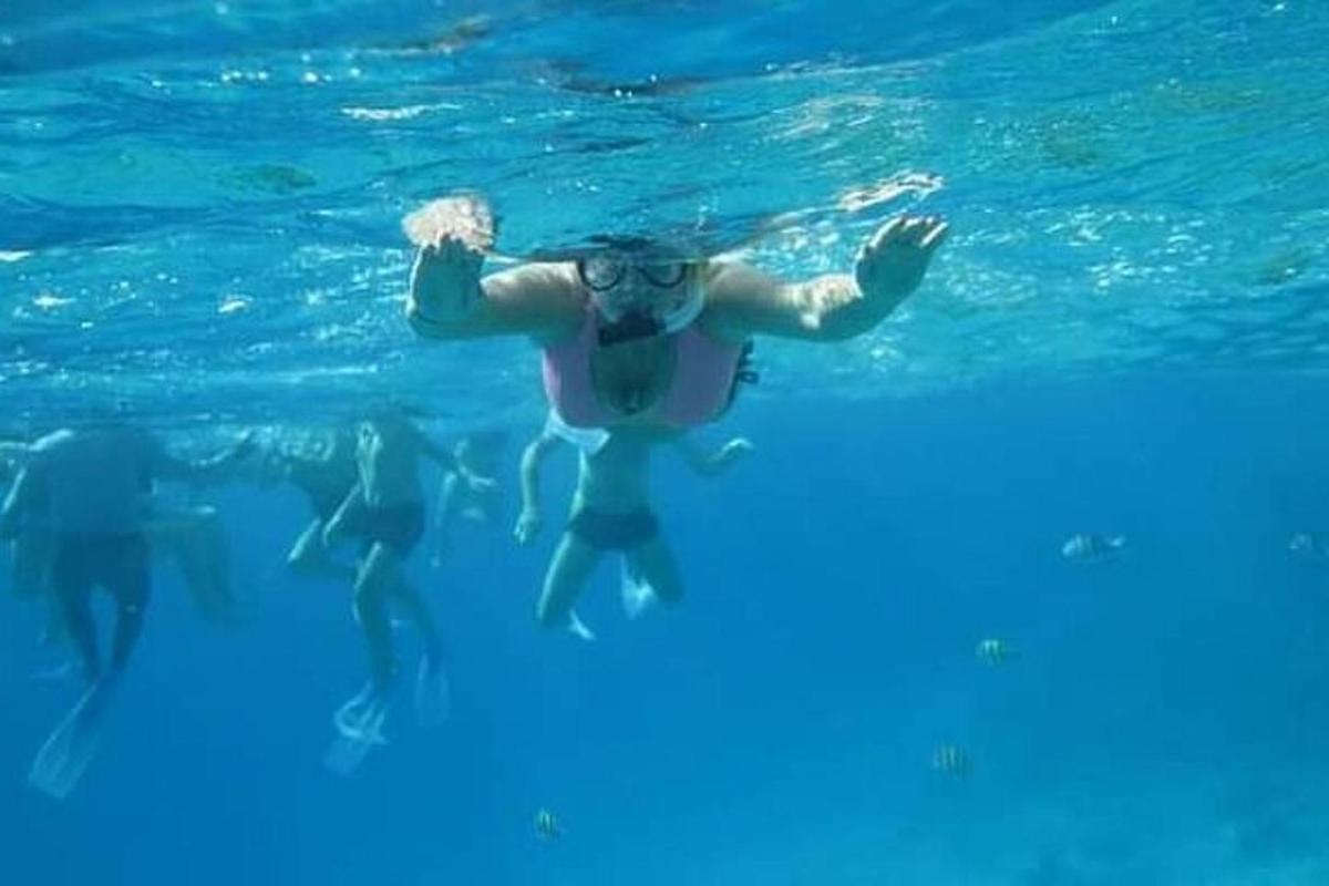 a man swimming in the water with a group of dolphins