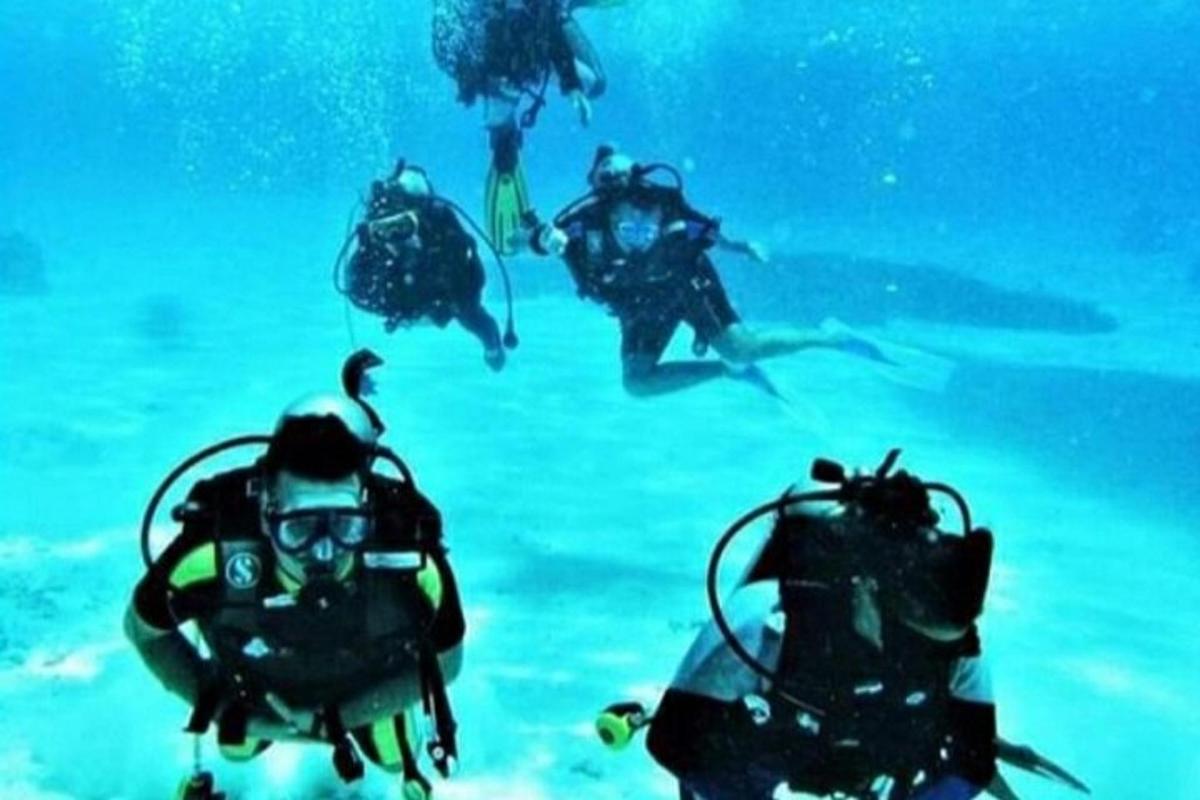 a group of people diving in the water