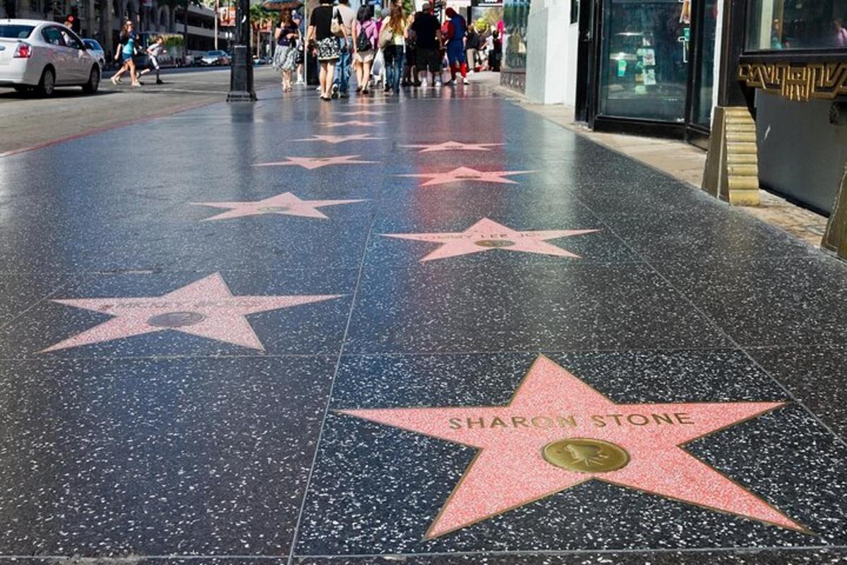 una fila de estrellas en una acera de una calle