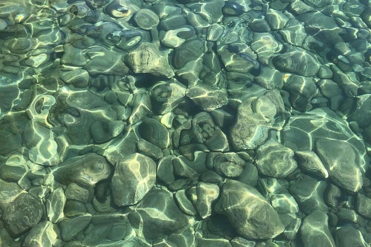 Nærmynd af steinum í vatnspolli