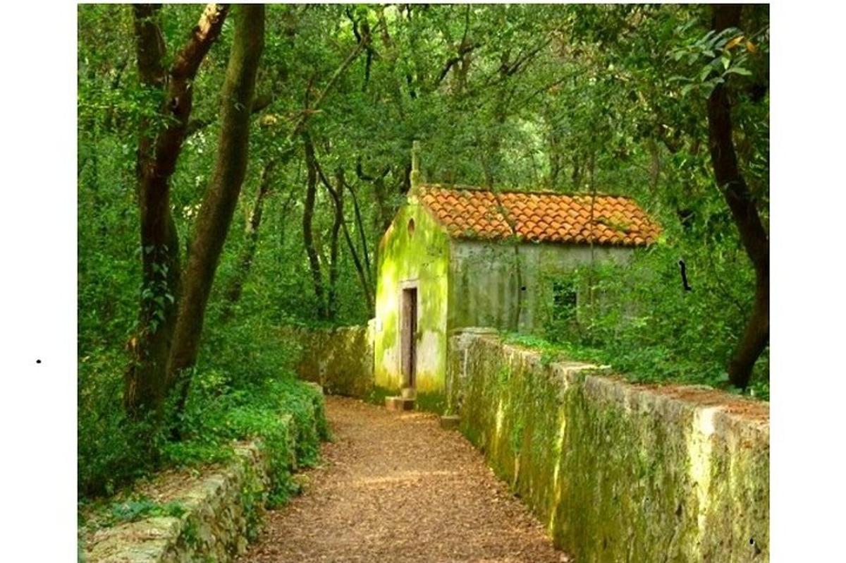 an old building in the middle of a forest