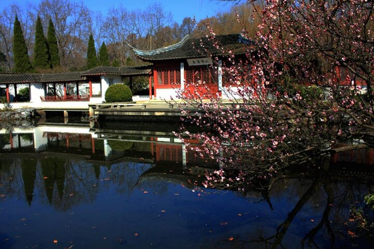 一座建筑物在水中的倒影