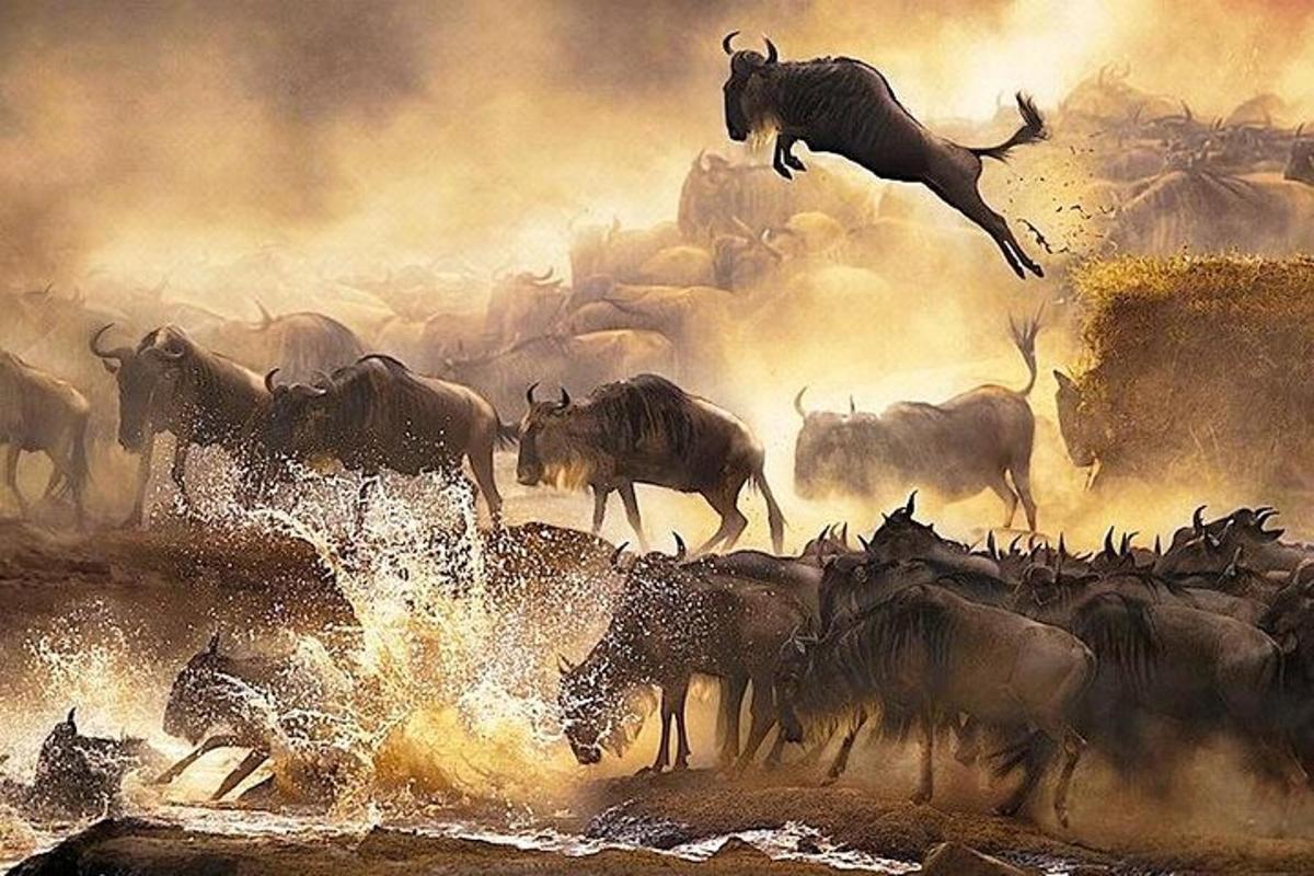 un dipinto di una mandria di gnu