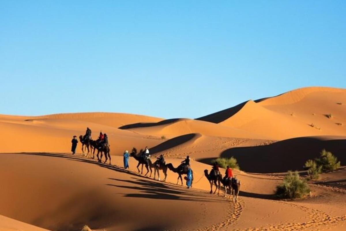 a group of people riding camels in the desert