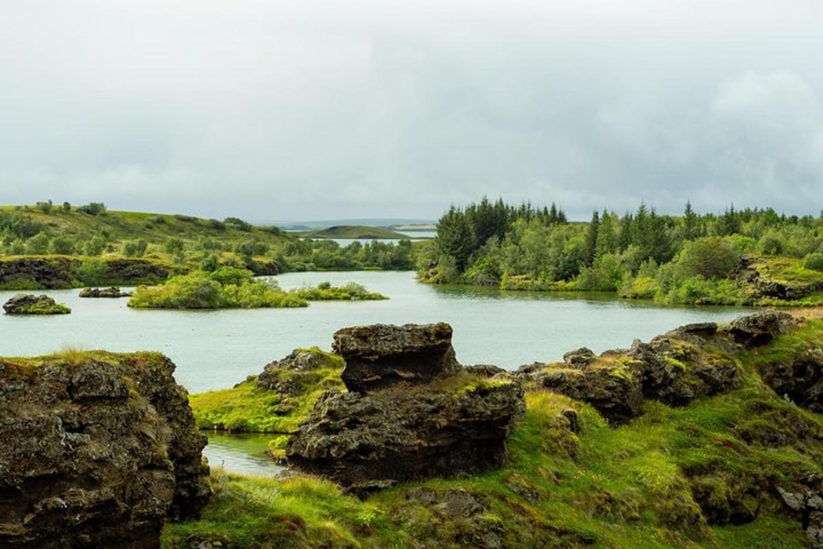 un fiume in un campo con rocce e alberi