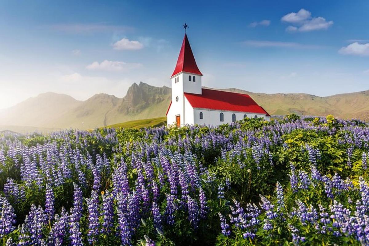 una iglesia en un campo de flores moradas