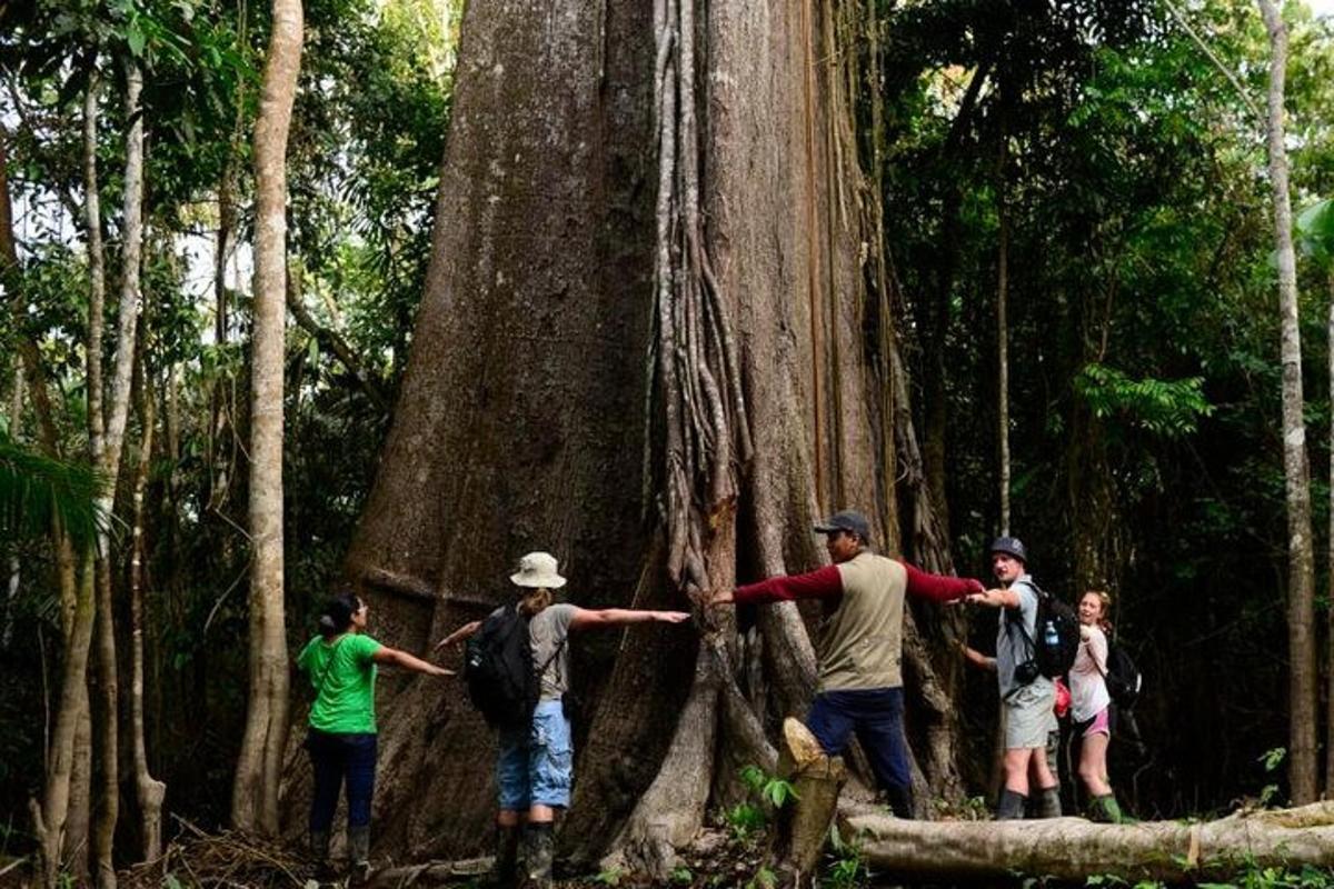 a group of people standing around a large tree