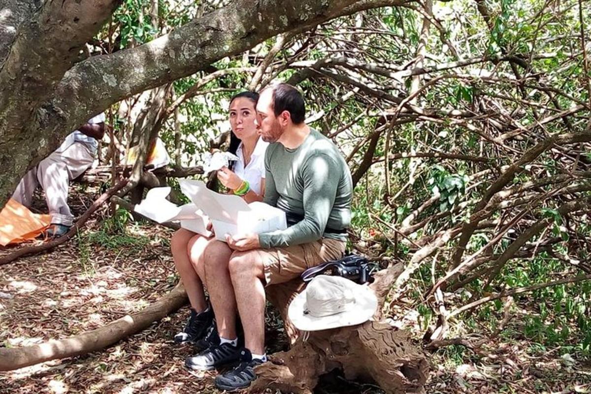 two people sitting on a bench under a tree