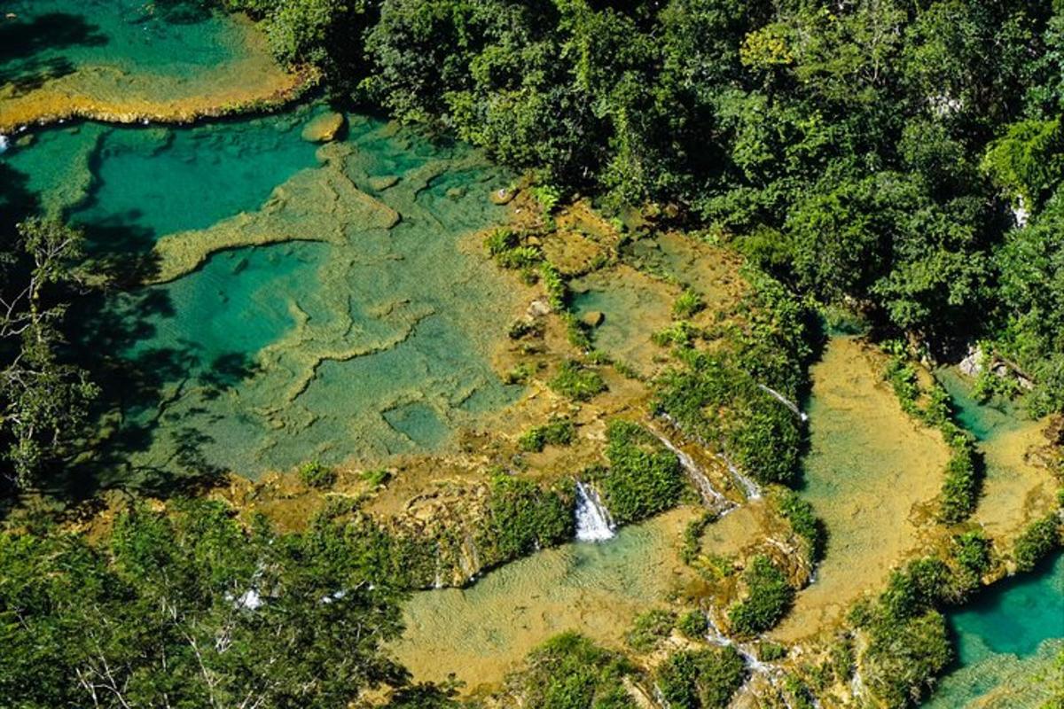 Una vista aérea de un río y árboles.