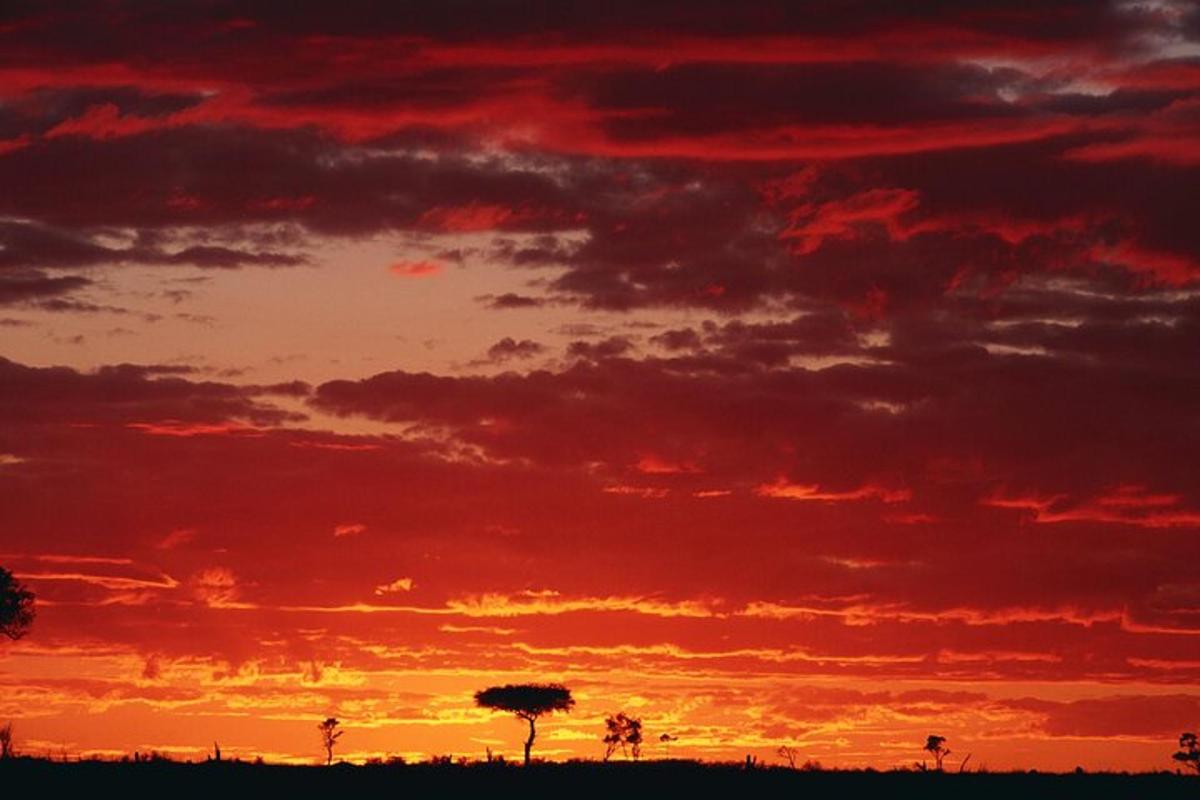 un tramonto in un campo con un cielo rosso