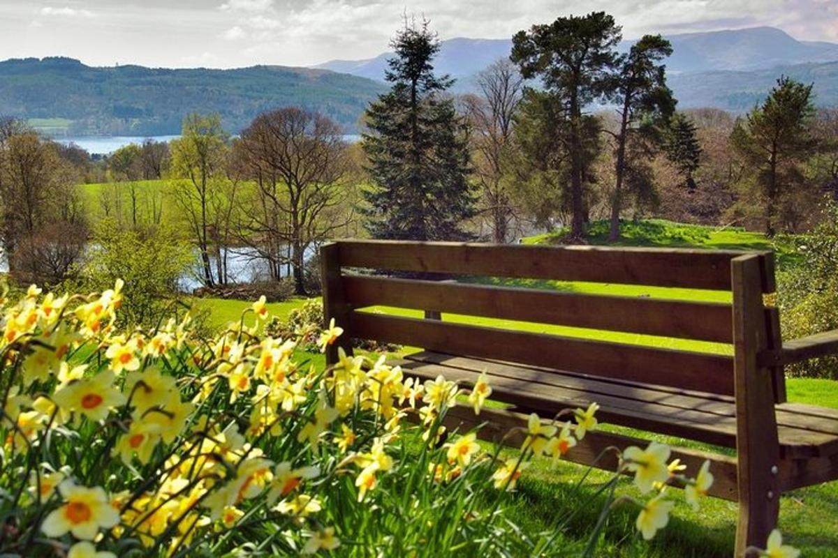 un banc de fusta assegut en un camp de flors