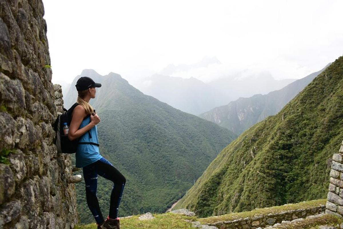 una donna in piedi su un muro che guarda una valle
