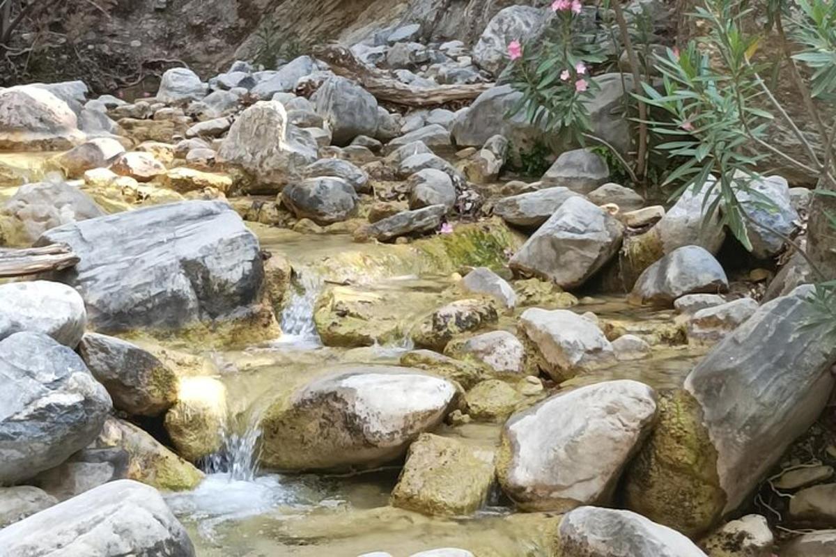 ένα ρεύμα από πέτρες και νερό σε έναν κήπο