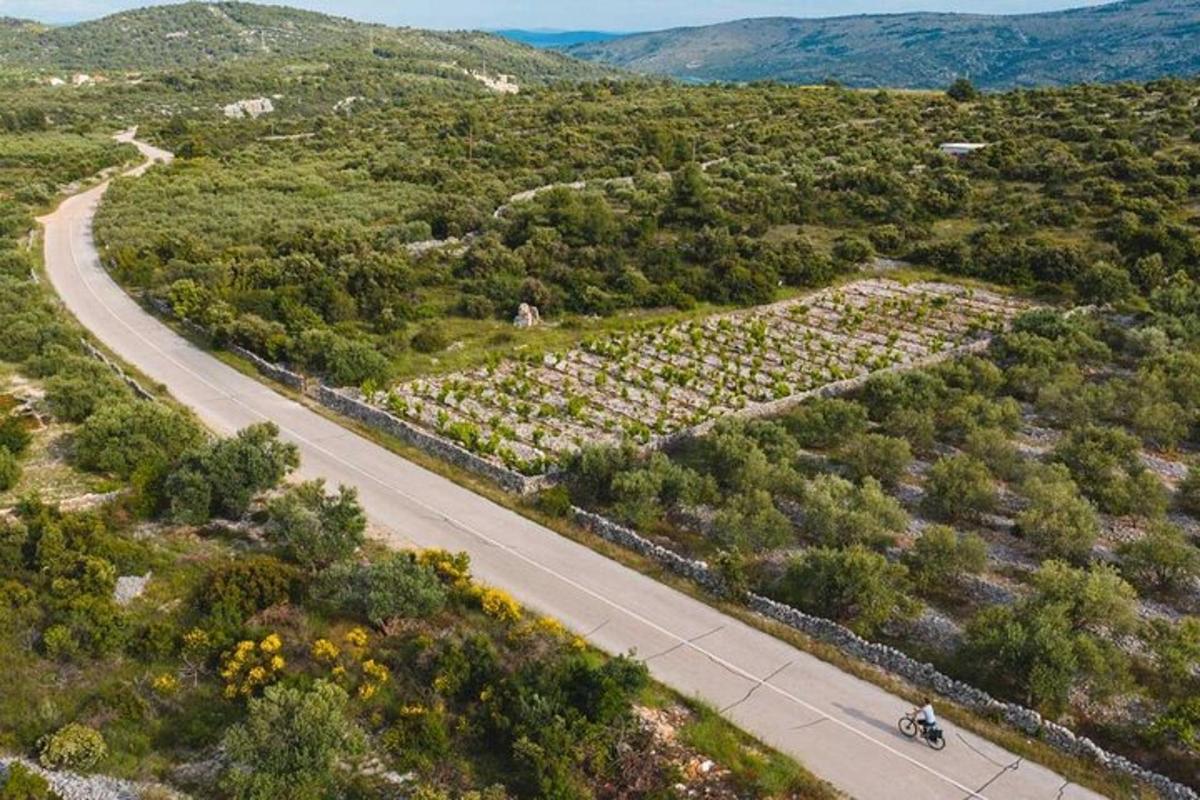 pohled shora na silnici v poli