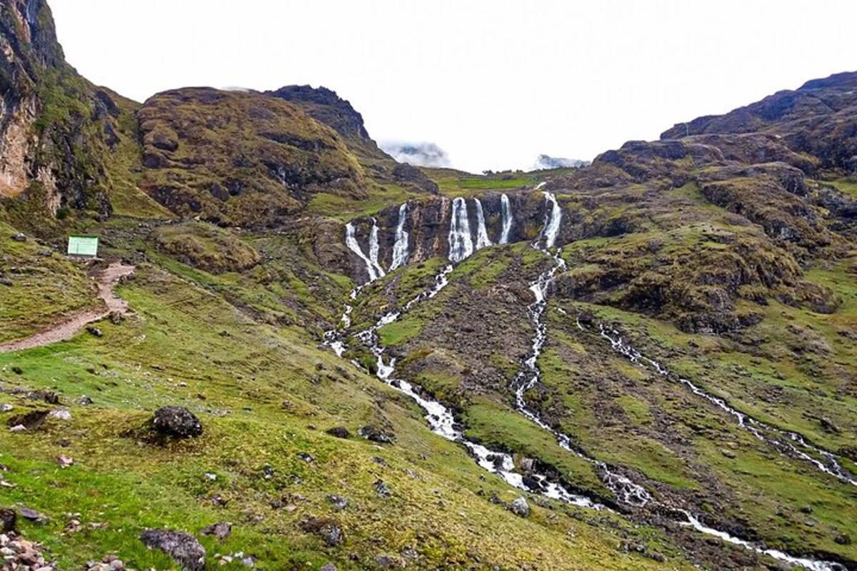 foss á hlið graslendis