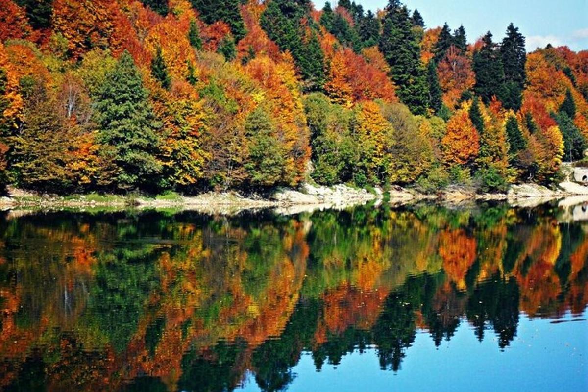 um reflexo de árvores em um lago no outono