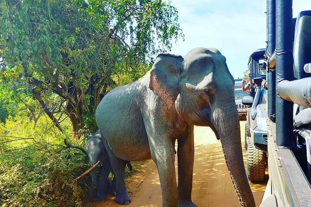 una statua di un elefante in piedi nel fango