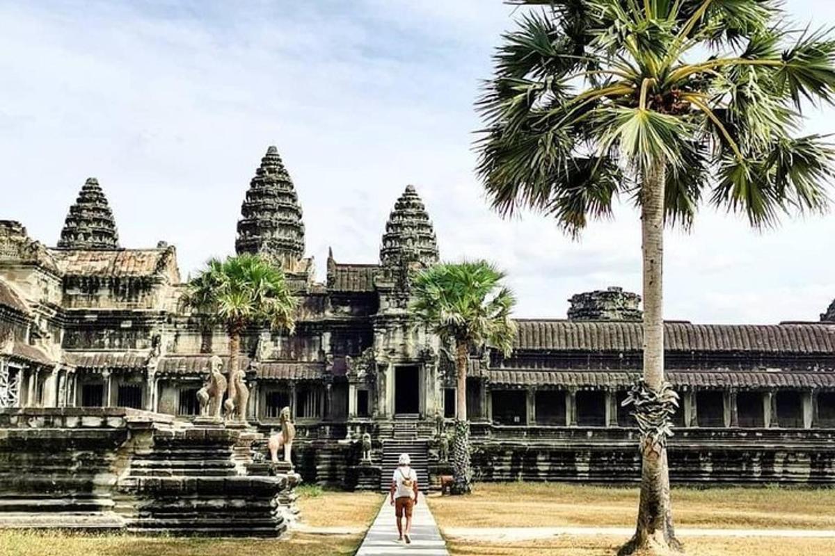 một người đang đi bộ trước một tòa nhà có cây cọ