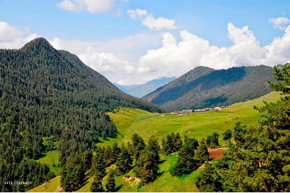 pogled na dolino z gorami in drevesi