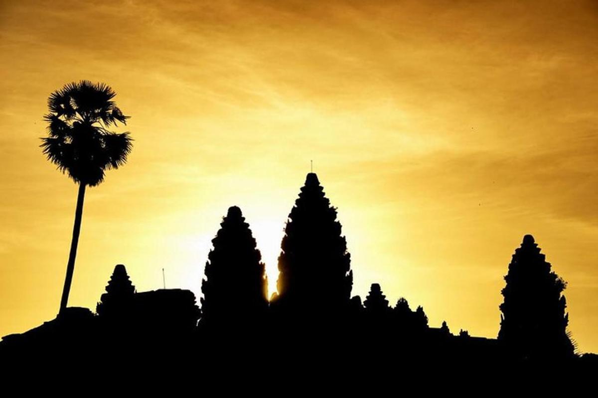 siluet bangunan dengan pokok palma