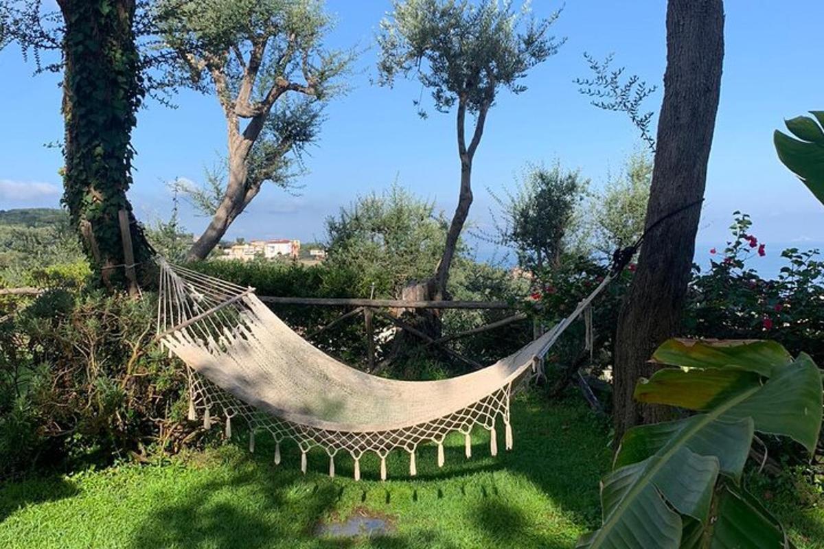 a hammock tied to a tree in a garden