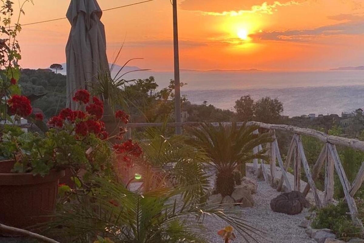 a sunset from a patio with flowers and an umbrella