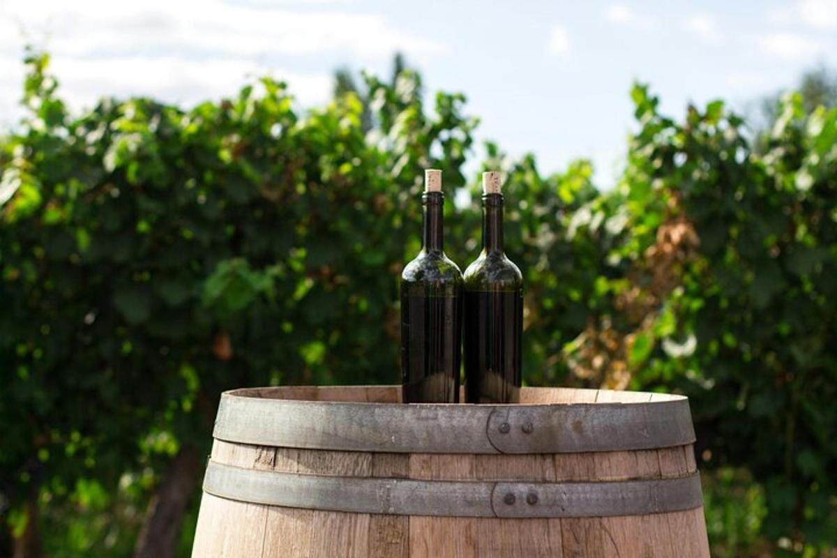 zwei Flaschen Wein auf einem Fass