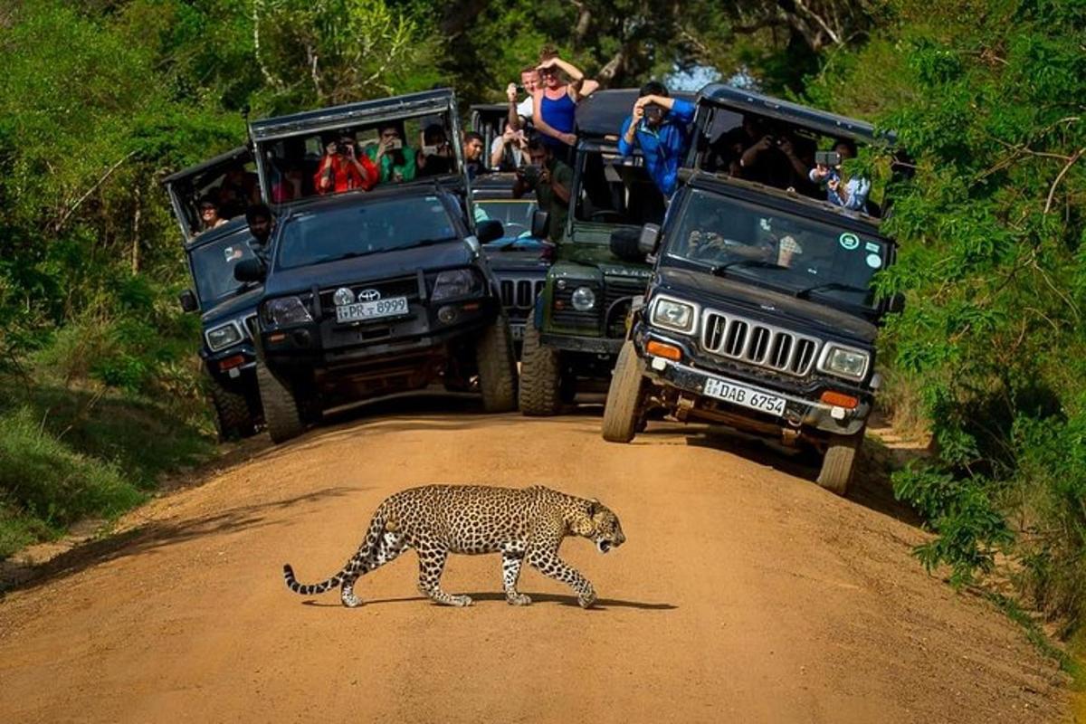 un leopardo che cammina su una strada sterrata con le persone