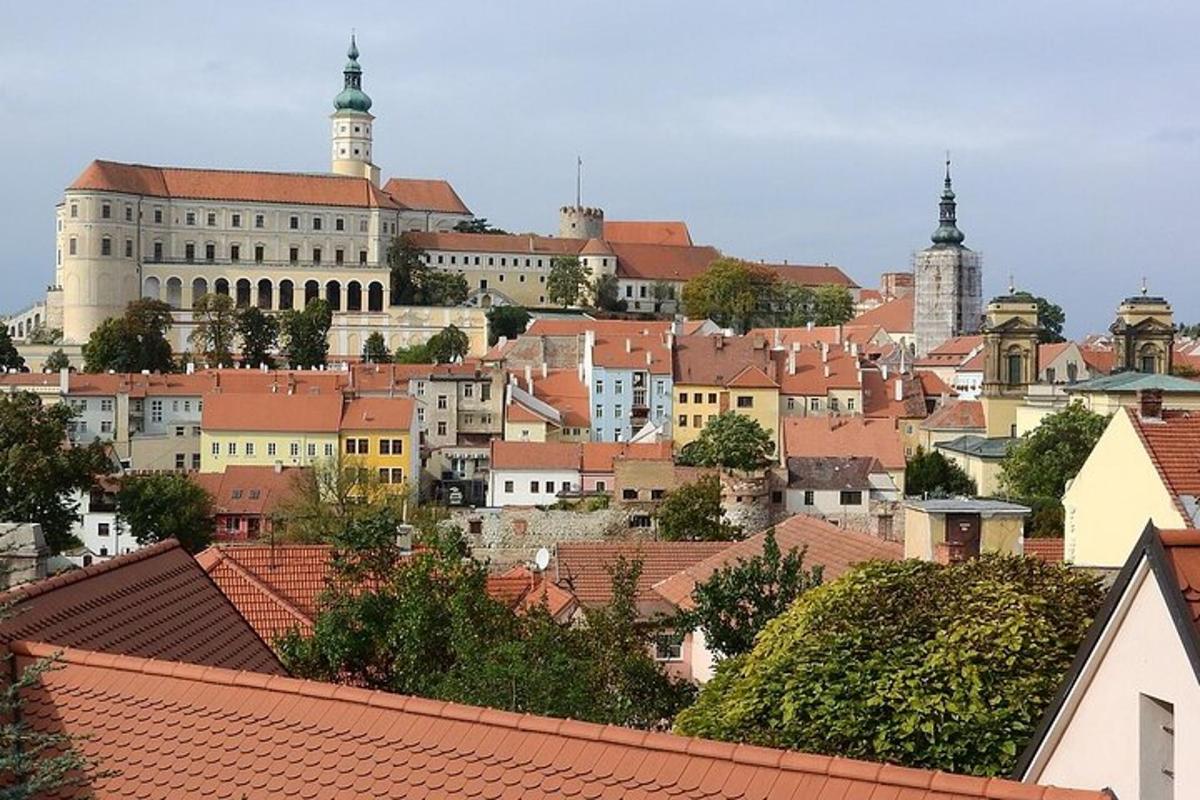 ein Blick auf eine Stadt mit Gebäuden und Dächern